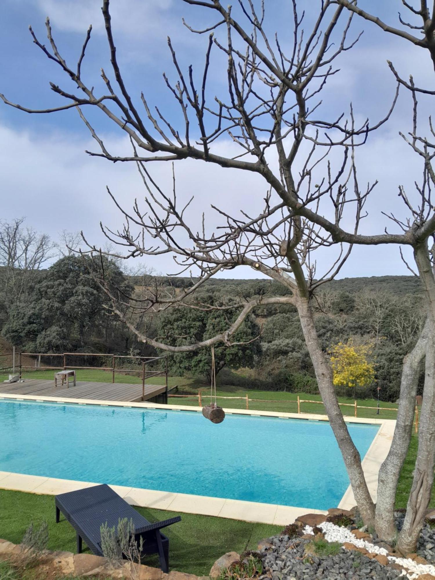 Apartment Quinta Da Devesa B1